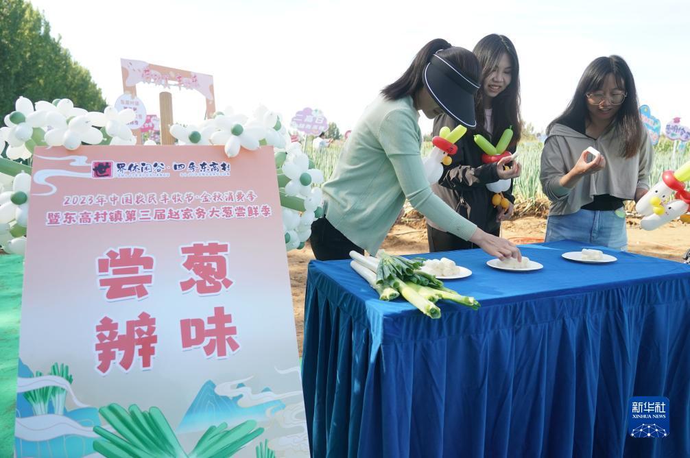vnsr威尼斯城充值